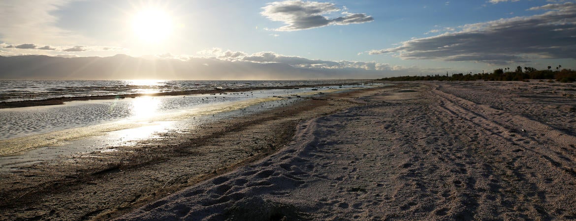 03072019_SALTONSEA_095-2