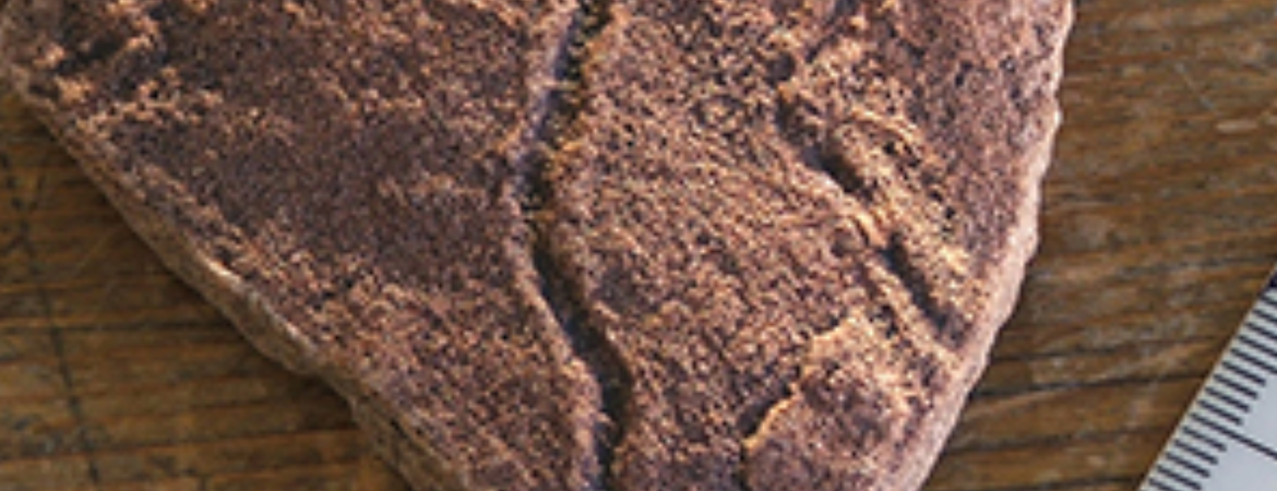 Selenium