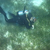 Field work
